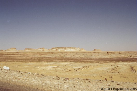 The White Desert