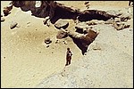 On the Crystal Rock in the White Desert